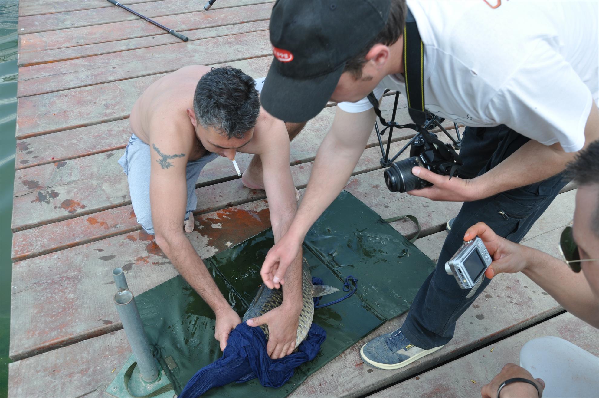 GALERIE FOTO TROFEUL USAMV - PLEASA 2 - dsc0488.JPG